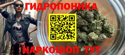 гидропоника Краснокаменск