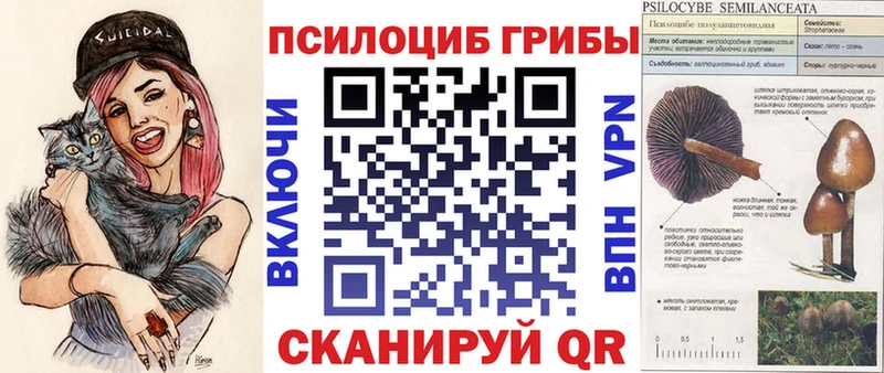 где найти Калуга Галлюциногенные грибы ЛСД