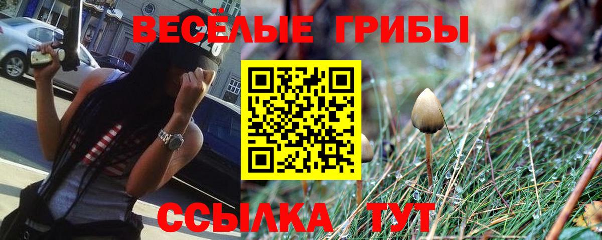 Псилоцибиновые грибы MAGIC MUSHROOMS Калуга